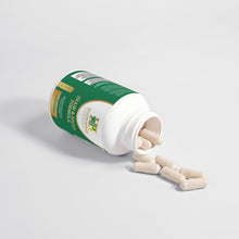 Load image into Gallery viewer, Brain & Focus Formula