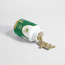 Load image into Gallery viewer, Ginkgo Biloba + Ginseng