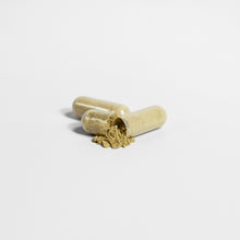 Load image into Gallery viewer, Ginkgo Biloba + Ginseng
