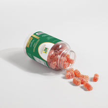 Load image into Gallery viewer, Multivitamin Bear Gummies (Adult)