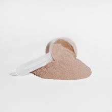 Load image into Gallery viewer, Plant Protein (Chocolate)